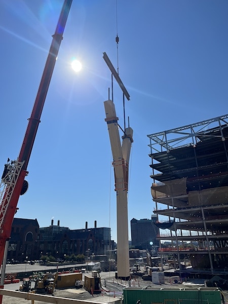 Harvard treehouse case study - jobsite picture